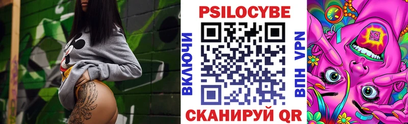 Купить закладки  Алдан  Псилоцибиновые грибы мухоморы 